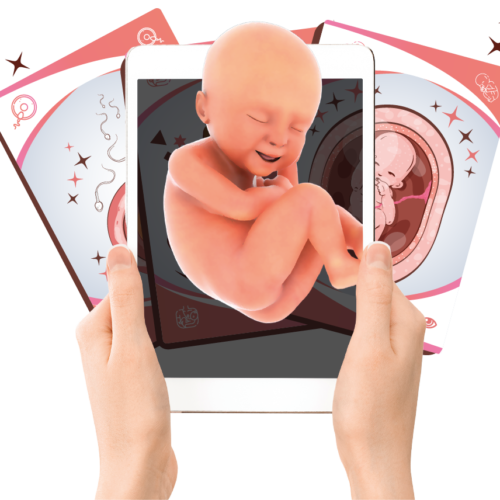 Baby cards de Body planet cabecera