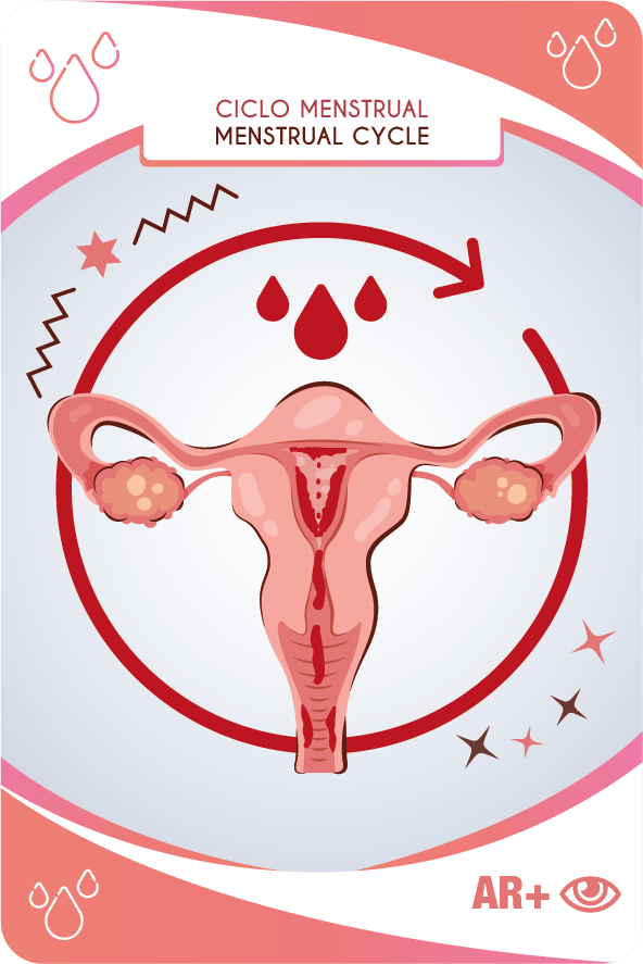 Baby cards ciclo menstrual